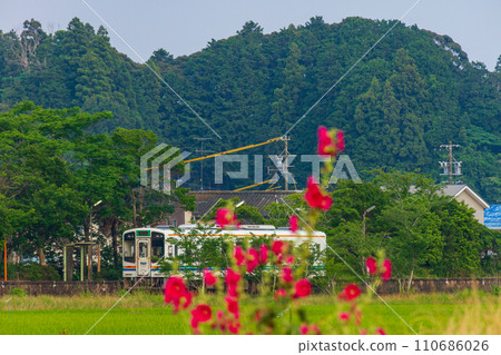 靜岡縣掛川市細谷天龍濱名湖鐵道及沿線風景 110686026