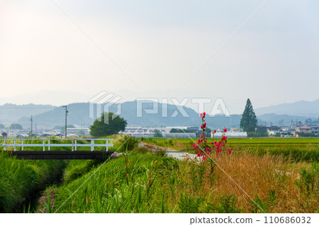 Hosoya, Kakegawa City, Shizuoka Prefecture Tenryu Hamanako Railway and scenery along the line Hosoya, Kakegawa City, Shizuoka Prefecture Tenryu Hamanako Railway and scenery along the line 110686032