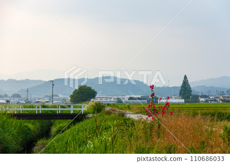 Hosoya, Kakegawa City, Shizuoka Prefecture Tenryu Hamanako Railway and scenery along the line 110686033