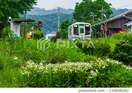 Ichinomiya, Mori-machi, Shuchi-gun, Shizuoka Prefecture Tenryu Hamanako Railway and scenery along the line 110686042
