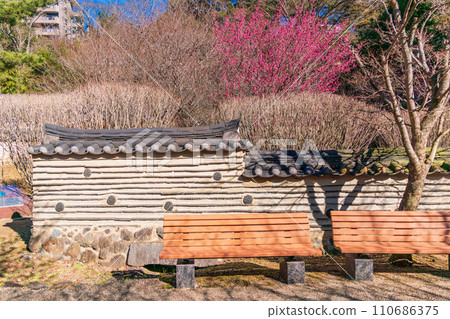 (靜岡縣)熱海梅園/韓國梅園 (靜岡縣)熱海梅園/韓國梅園 110686375