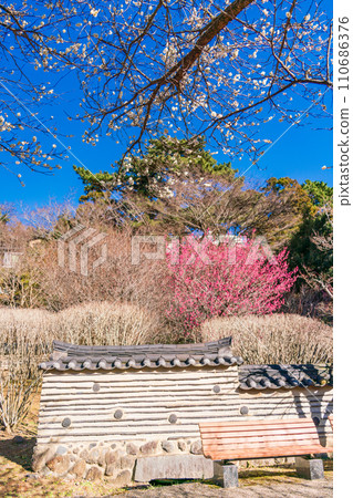 (靜岡縣)熱海梅園/韓國梅園 (靜岡縣)熱海梅園/韓國梅園 110686376