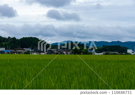 靜岡縣掛川市細谷天龍濱名湖鐵道及沿線風景 110686731