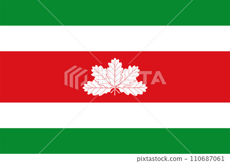 Flag of Boyaca Department (Republic of Colombia, South America) Departamento de Boyaca 110687061