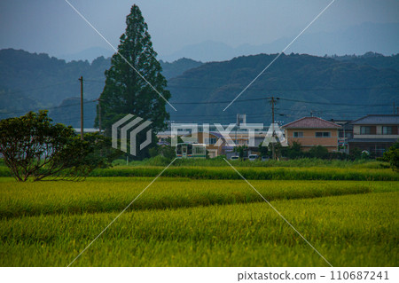 靜岡縣掛川市細谷天龍濱名湖鐵道及沿線風景 靜岡縣掛川市細谷天龍濱名湖鐵道及沿線風景 110687241