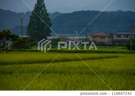 靜岡縣掛川市細谷天龍濱名湖鐵道及沿線風景 靜岡縣掛川市細谷天龍濱名湖鐵道及沿線風景 110687242