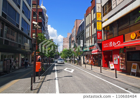 禦茶之水車站週邊的名慶通 禦茶之水車站週邊的名慶通 110688484