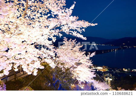 Amanohashidate Kasamatsu Park night cherry blossom illumination, Kasaizakura 110688621
