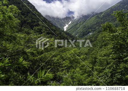 新鮮的綠色山面和覆蓋著雲彩的山脈 110688718