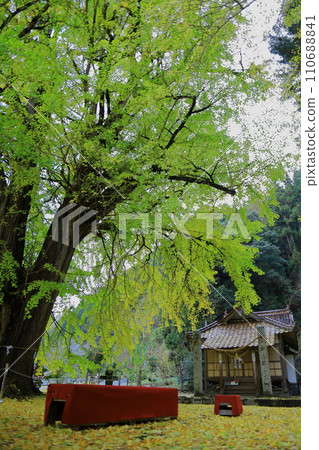 片玉神社銀杏 片玉神社銀杏 110688841