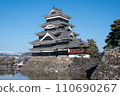 Mute Swan and Matsumoto Castle 110690267