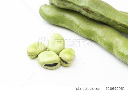 白色背景上的蠶豆 110690961