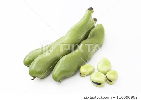 白色背景上的蠶豆 110690962