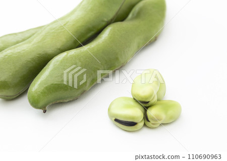 fava beans on a white background 110690963