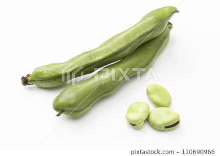 fava beans on a white background 110690966
