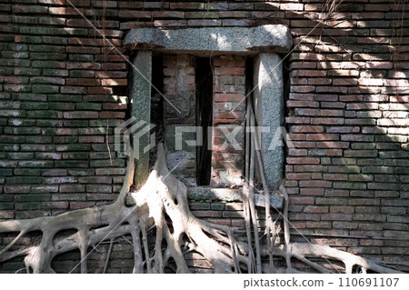 Anping tree store 110691107