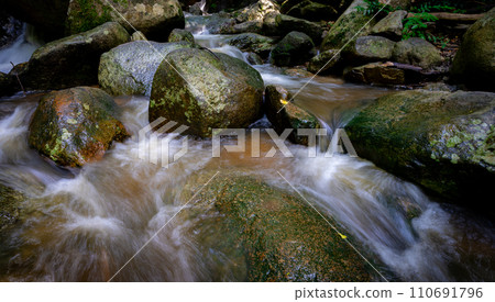 Waterfall is flowing in jungle. Waterfall in green forest. Mountain waterfall. Cascading stream in lush forest. Nature background. Rock or stone at waterfall. Water sustainability. Water conservation. 110691796