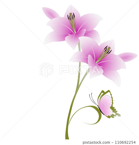 Floral background with lily flowers and butterfly on a white background. Floral background with lily flowers and butterfly on a white background. 110692254