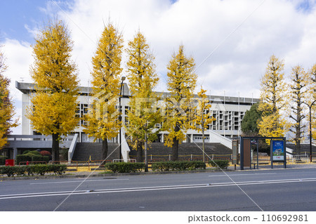 Kyoto University General Gymnasium 110692981