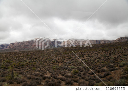 View of landscape red rock canyon national park at nevada,USA. 110693355