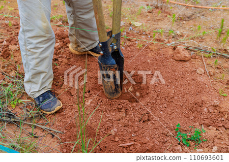 Man using hand post hole digger with digging fence post 110693601