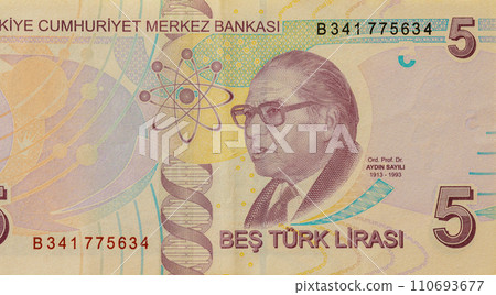 Turkish national currency 5 Lira banknote back view Turkish national currency 5 Lira banknote back view 110693677