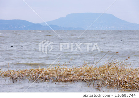 Winter wonderland at the fabulous Lake Balaton of Hungary 110693744