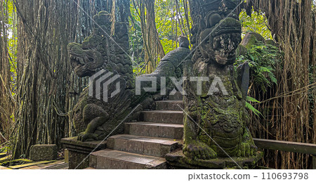 峇裡島猴子森林 110693798