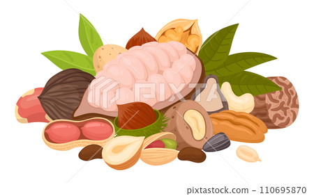 Cartoon seeds and nuts bunch. Raw nuts mix, almond, peanut, cashew and walnut mix, vegetarian diet organic snack flat vector illustration. Tasty nuts mix 110695870