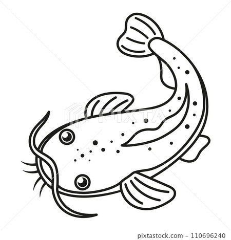 black and white cartoon catfish 110696240