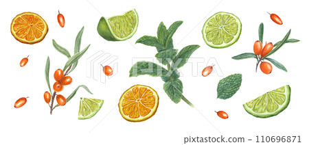 Orange, lime slices, sea buckthorn berries. mint leaves. Citrus fruits, forest berries, aromatic herbs. Watercolor botanical illustration. For the design of invitation, package 110696871