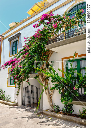 Bougainvillea flowers growing in the streets of Puerto de Mogan. Gran Canaria, Spain 110696977