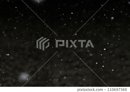 Bokeh of white snow on a square shape gray background. Falling snowflakes on night sky background, isolated for post production and overlay in graphic editor. Bokeh of white snow on a square shape gray background. Falling snowflakes on night sky background, isolated for post production and overlay in graphic editor. 110697360
