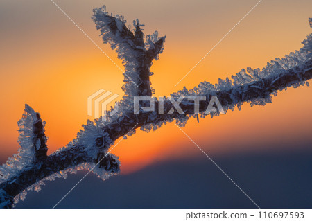 Cold winter background with frost covered branches 110697593
