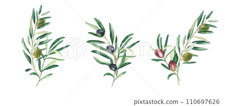 Olive branches bouquets with green, red and black olives isolated on white background. Watercolor hand drawn botanical illustration. Can be used for cards, menu, logos, cosmetic, food packaging design 110697626