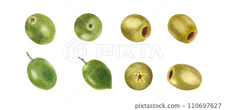 Green and ripe olives set isolated on white background. Watercolor hand drawn botanical illustration. Can be used for menu, product package and food design Green and ripe olives set isolated on white background. Watercolor hand drawn botanical illustration. Can be used for menu, product package and food design 110697627