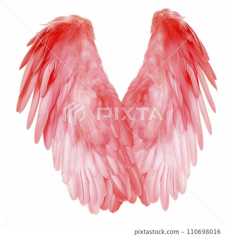 pink wings, pink flamingo wings, close-up, isolated on white pink wings, pink flamingo wings, close-up, isolated on white 110698016