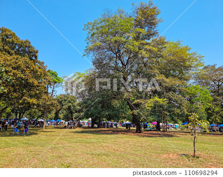 Bosque da Paz Square Bosque da Paz Square 110698294