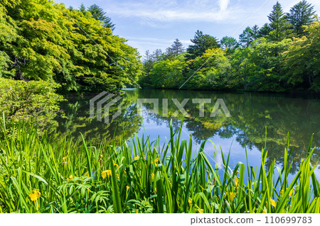 Spring in Karuizawa Town, Nagano Prefecture, Kumoba Pond with fresh greenery Spring in Karuizawa Town, Nagano Prefecture, Kumoba Pond with fresh greenery 110699783