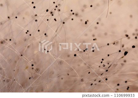 several dark dots pastel yellow-pink background. several dark dots pastel yellow-pink background. 110699933