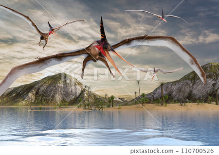 Pteranodon flies around to catch food Pteranodon flies around to catch food 110700526
