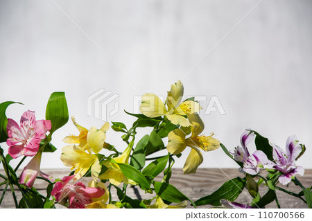 Floral arrangement with delicate Inca lily flowers. Light grunge background, place for text. 110700566