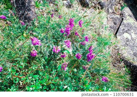 Landscape high mountains in dense fog tops of mountains in clouds North Caucasus Elbrus Landscape high mountains in dense fog tops of mountains in clouds North Caucasus Elbrus 110700631