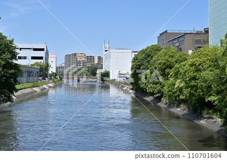 川口散步 - 川口市宮町一級河流菖蒲川 110701604