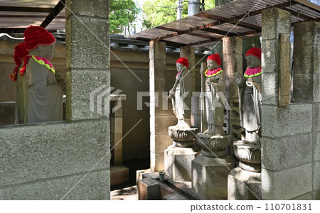 Kawaguchi Walk/Saishoin Shingon Sect Chizan School Iizuka, Kawaguchi City 110701831