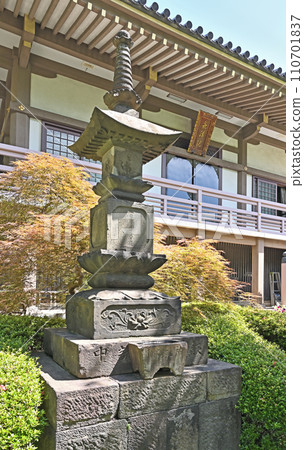 Kawaguchi Walk/Saishoin Shingon Sect Chizan School Iizuka, Kawaguchi City 110701837
