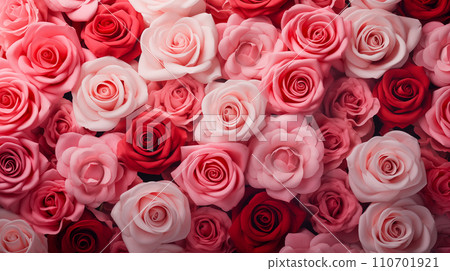 Background of Mixed Roses for Valentine's Day Background of Mixed Roses for Valentine's Day 110701921