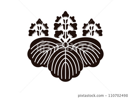 Uesugi paulownia tree 110702498