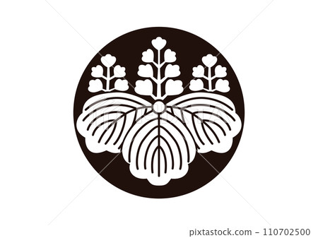 泡桐樹與石持 110702500