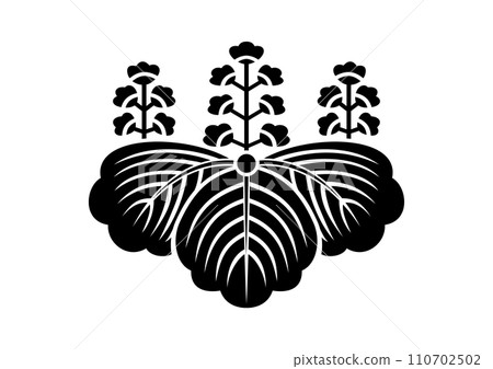 太樹泡桐 太樹泡桐 110702502